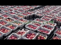 Appleの分類機械